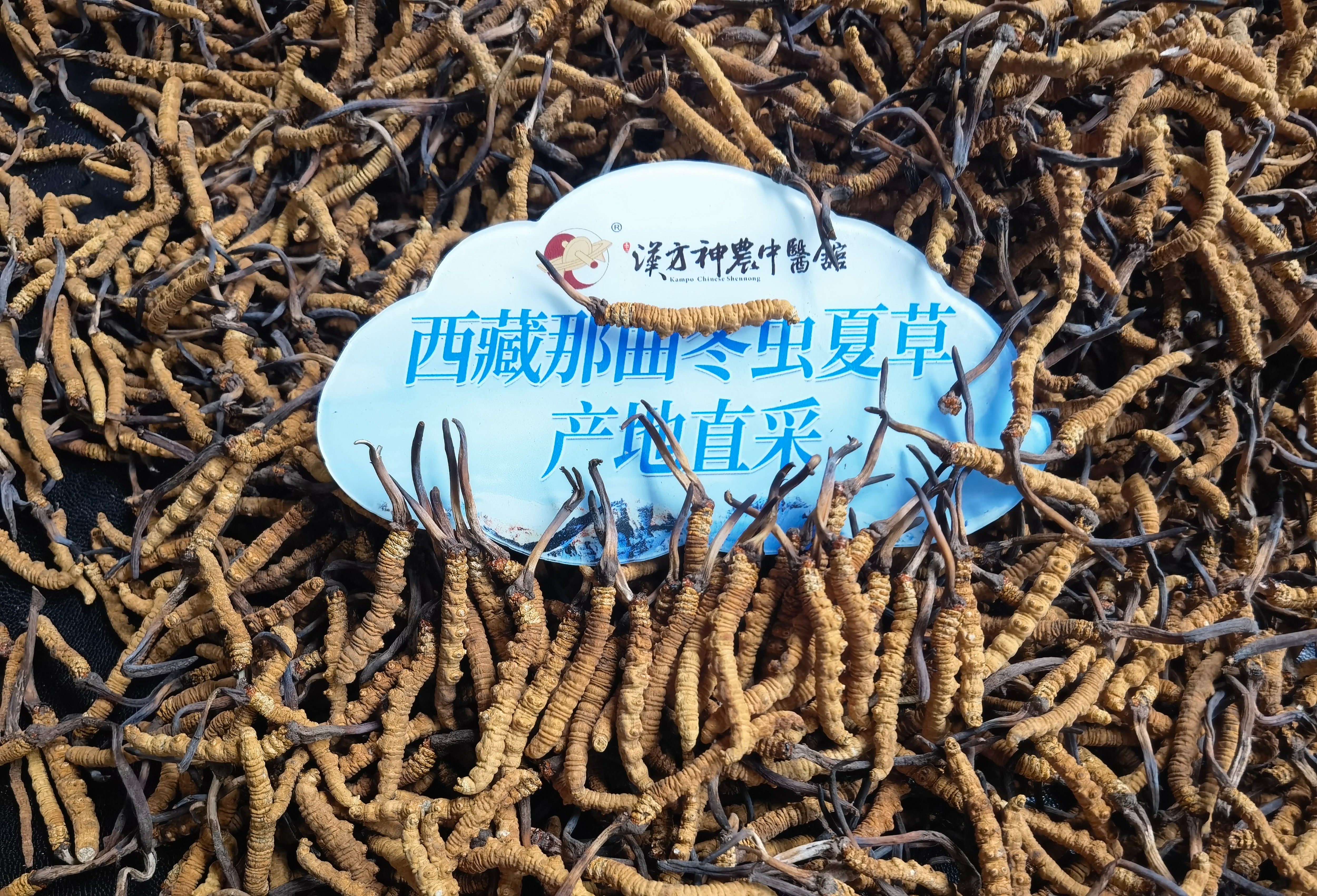 神農(nóng)中醫(yī)館 神農(nóng)中醫(yī)館