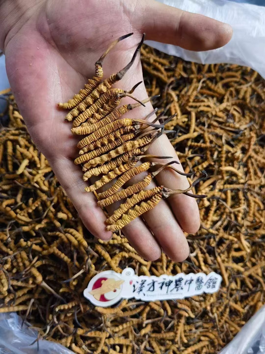 神農(nóng)中醫(yī)館 神農(nóng)中醫(yī)館