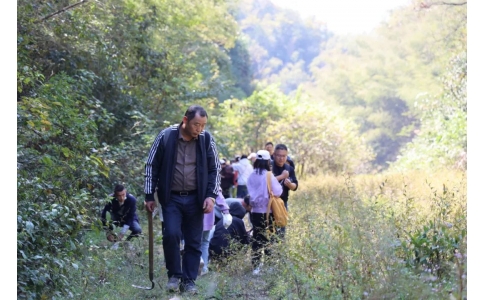 踏秋尋寶，聞香識(shí)藥！首屆神農(nóng)杯野外識(shí)藥大賽在株洲鳳凰山景區(qū)成功舉辦！