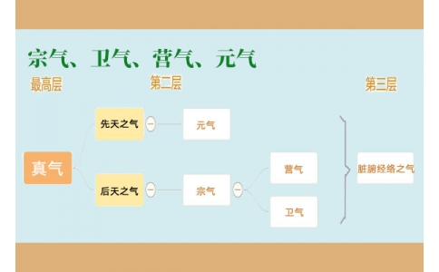 中醫(yī)里的“宗氣”、“衛(wèi)氣”、“營氣”、“元氣”
